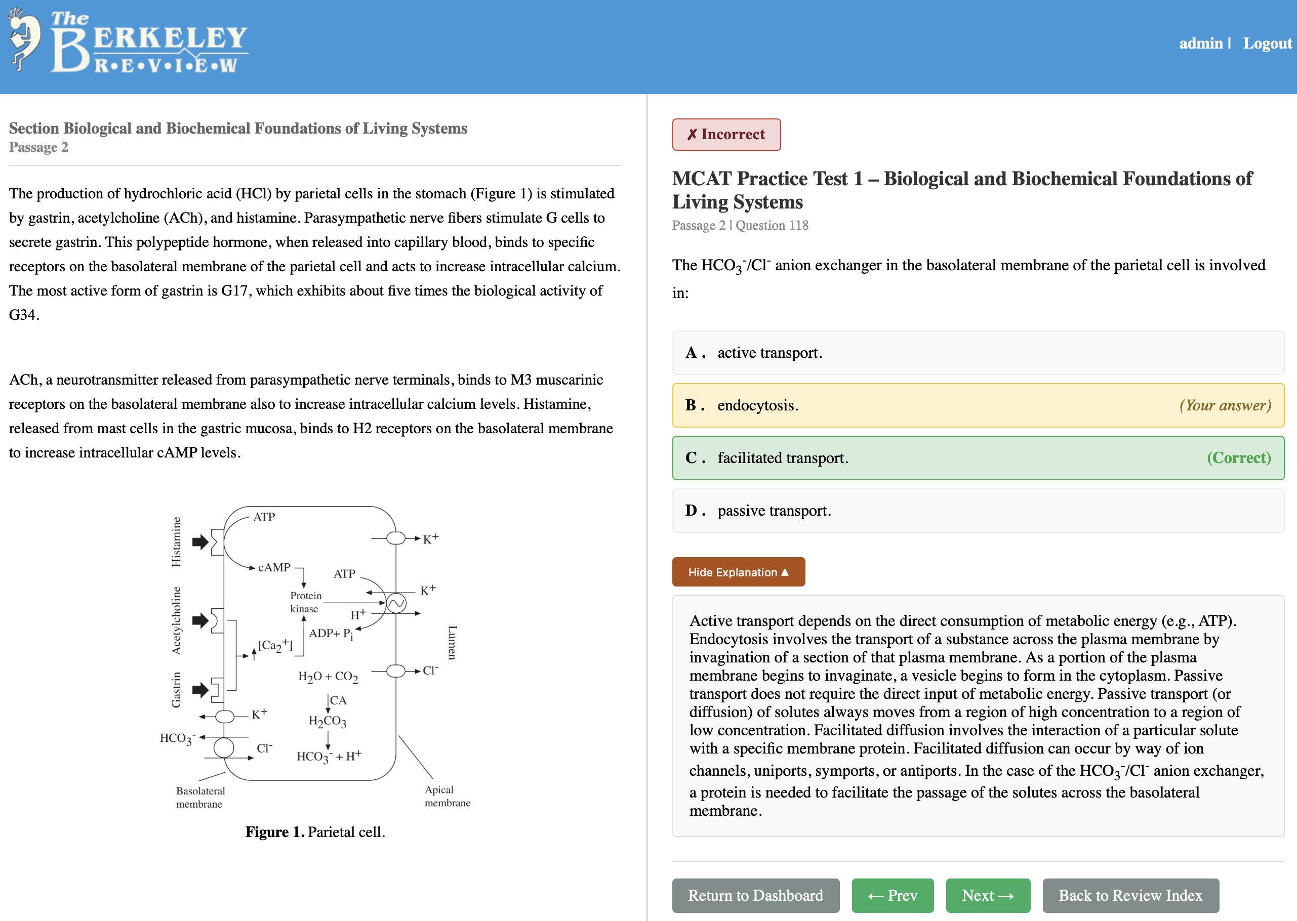 The Berkeley Review online MCAT practice exam platform